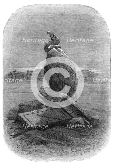 "Purification" (the Griffon Vulture): from "The Bird", by J. Michelet, 1868. Creators: Adolphe François Pannemaker, Albert Doms.