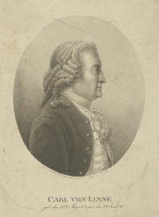 Portrait of Carl Linnaeus (1707-1778), c. 1800. Creator: Kunike, Adolph Friedrich (1777-1838).