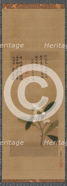 A branch of loquats, Edo period, 18th century. Creator: Kanô Eisen'in Michinobu.