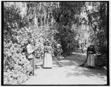 The caretakers, Magnolia-on-the-Ashley i.e. Magnolia Gardens, Charleston, S.C., c1900. Creator: William H. Jackson.