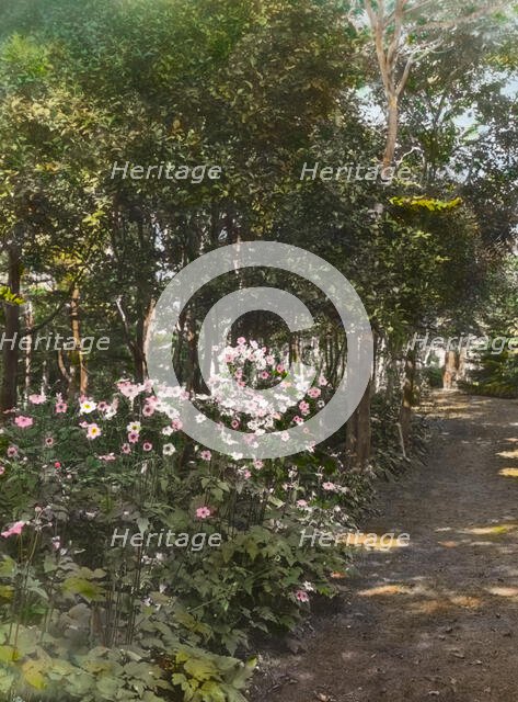 "The Reef," Theodore Montgomery Davis house, Ocean Avenue at Brenton Point, Newport, Rhode..., 1914. Creator: Frances Benjamin Johnston.