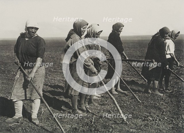 Kolkhos women on the field, Early 1930s.
