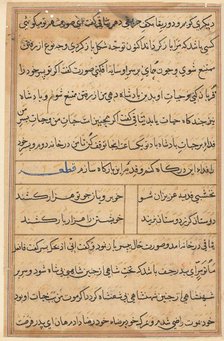 Page from Tales of a Parrot (Tuti-nama): text page, c. 1560. Creator: Unknown.