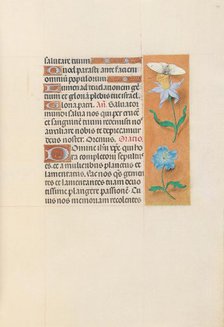 Hours of Queen Isabella the Catholic, Queen of Spain: Fol. 79r, c. 1500. Creator: Master of the First Prayerbook of Maximillian (Flemish, c. 1444-1519); Associates, and.