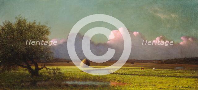 Sunlight and Shadow: The Newbury Marshes, c. 1871/1875. Creator: Martin Johnson Heade.