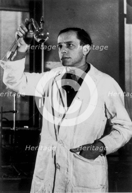 Rudolph Schoenheimer (1898-1941), 1930s.