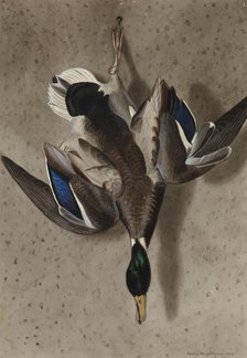 Hanging Mallard, 1834. Creator: Ferdinand von Wright.