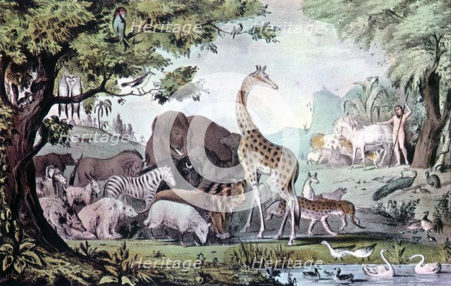 'Adam Naming the Creatures', 1847. Creator: Nathaniel Currier.