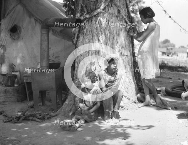 Motherless migrant children - they work in the cotton, 1935. Creator: Dorothea Lange.