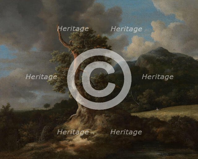 Mountainous Landscape with a Blasted Oak Tree, The 1660s. Creator: Jacob van Ruisdael.