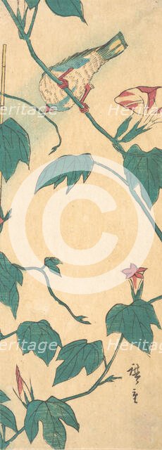 Morning Glories and Bird, 1840-50., 1840-50. Creator: Ando Hiroshige.