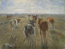 Long Shadows. Cattle on the Island of Saltholm, c. 1890. Artist: Philipsen, Theodor (1840-1920)