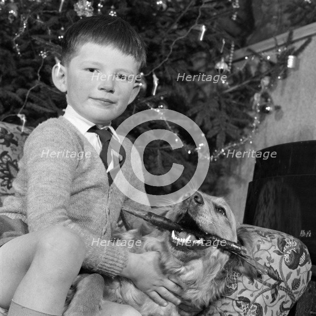 Child, dog and Christmas tree, December 1960. Artist: John Gay
