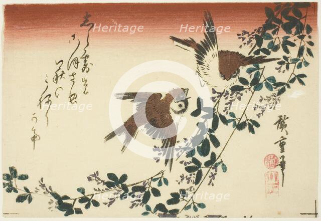 Sparrows and bush clover, 1830s. Creator: Ando Hiroshige.