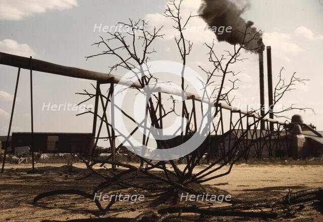 Sawmill at the Greensboro Lumber Co., Greensboro, Ga., 1941?. Creator: Jack Delano.