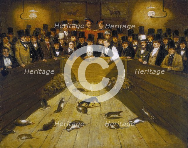 'Rat-Catching at the Blue Anchor Tavern, Bunhill Row, Finsbury', c1850. Creator: Unknown.