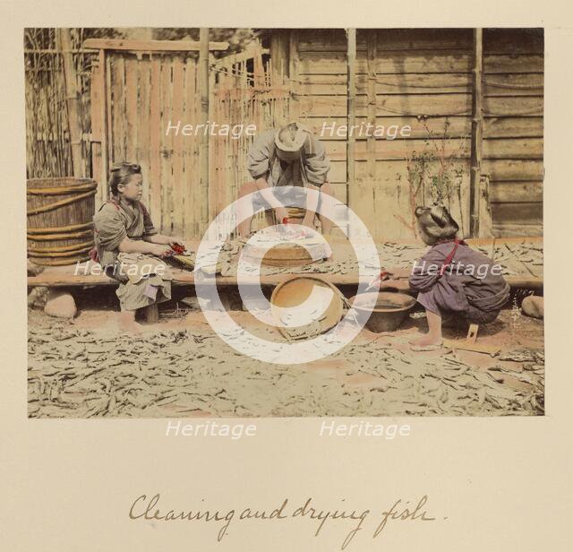 Cleaning and Drying Fish, about 1873-1883. Creator: Shinichi Suzuki I.