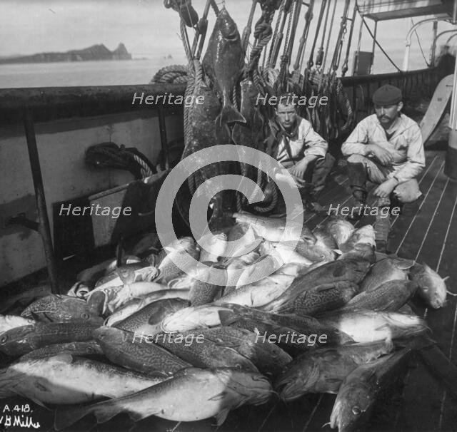 Fishing boat, cod and halibut, before 1927. Creator: Unknown.