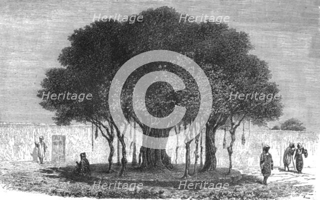 ''Our Camping-ground at Morebougou; Journey from the Senegal to the Niger', 1875. Creator: Unknown.