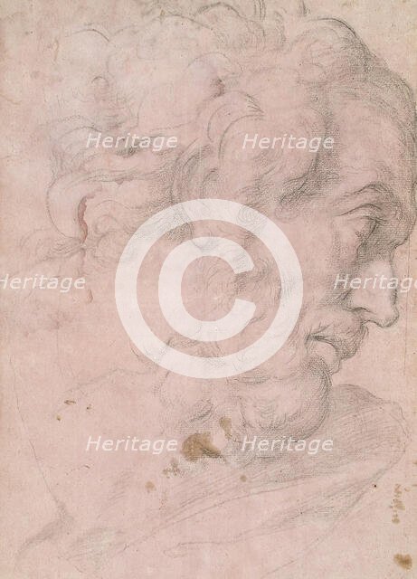 Head of A Bearded Man, between 1596 and 1641. Creator: Giovanni Angelo Canini.