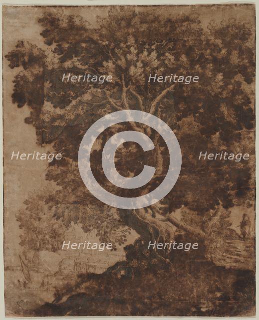 Tree in a Landscape, mid 17th century. Creator: Ercole Bazicaluva (Italian, c. 1610-1661).