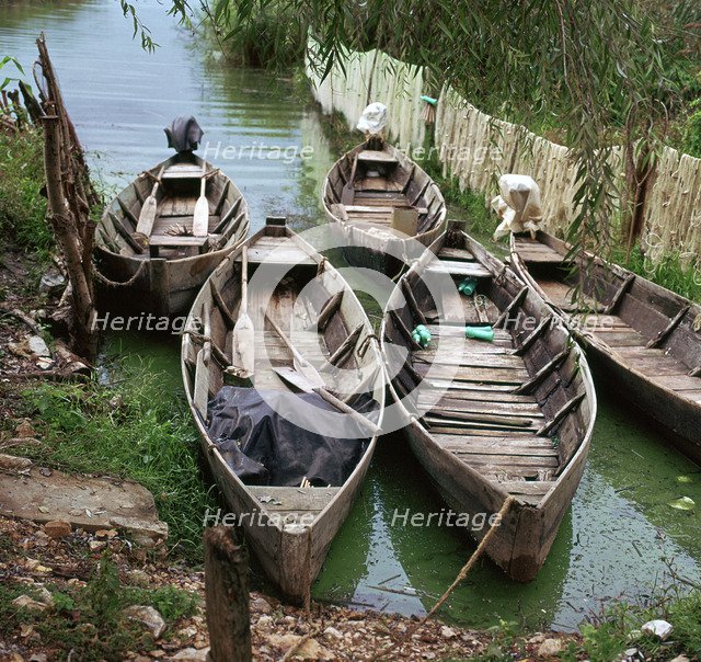Local boats at an island on Lake Ioanina