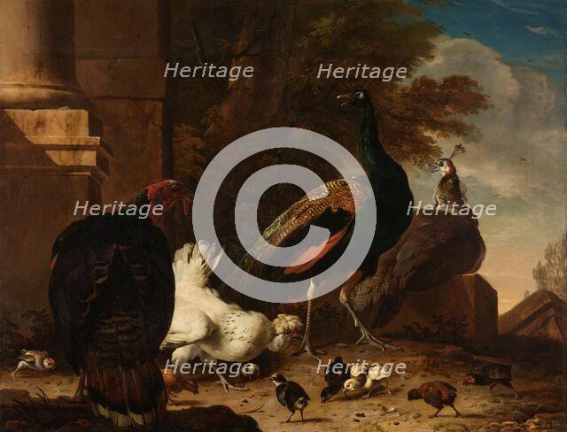 A Hen with Peacocks and a Turkey, c.1680. Creator: Melchior d'Hondecoeter.