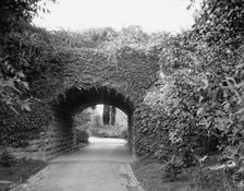 Ivy arch bridge in Delaware Park, Buffalo, N.Y., c1908. Creator: Unknown.