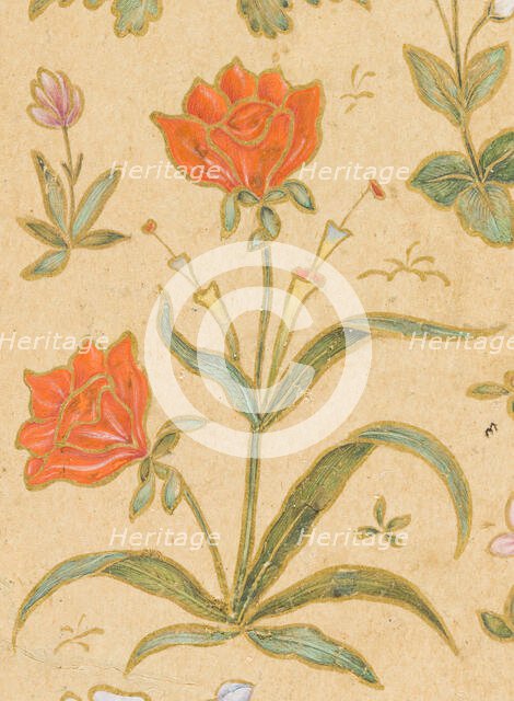 A Discourse Between Muslim Sages (image 3 of 6), c1630. Creator: Govardhan.