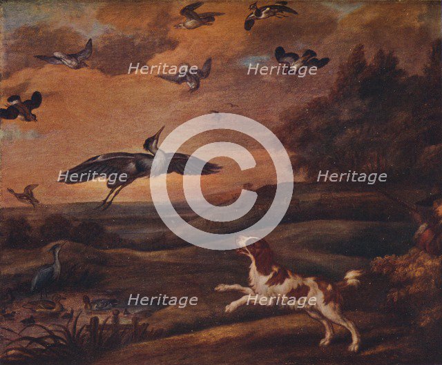 'Shooting Plover', late 17th century, (1922). Artist: Francis Barlow.