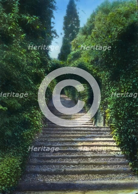 Botanical Garden, Isola Madre, Lake Maggiore, Piedmont, Italy, 1925. Creator: Frances Benjamin Johnston.
