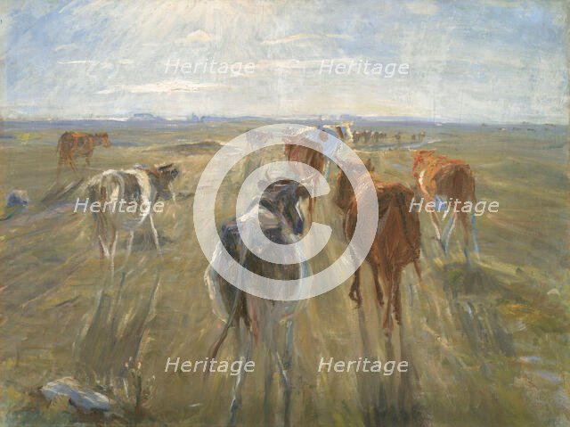 Long Shadows. Cattle on the Island of Saltholm, 1888-1892. Creator: Theodor Esbern Philipsen.