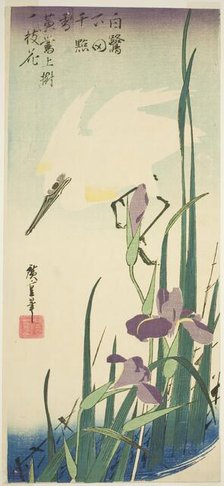 White heron and iris, c. 1832/34. Creator: Ando Hiroshige.