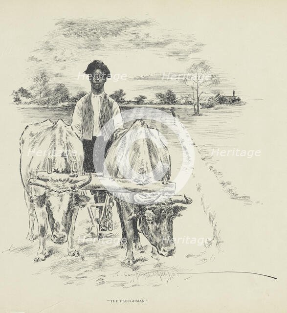 The ploughman, 1899. Creator: Jay Campbell Phillips.