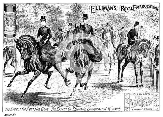 Advertisement for Elliman's Royal Embrocation, 1895. Creator: Joseph Swain.