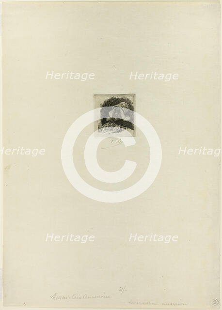 Flemish Market-Gardener, n.d. Creator: Félicien Rops.