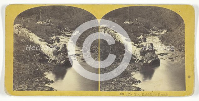 The Babbling Brook, 1855/75. Creators: Kilburn Brothers, BW Kilburn.