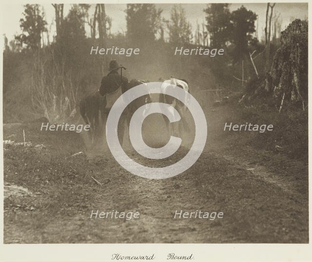 Homeward bound. From the album: Camera Pictures of New Zealand, 1920s. Creator: Harry Moult.