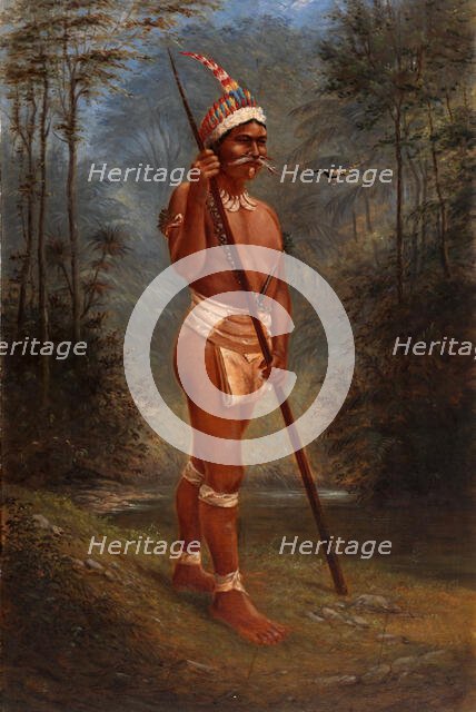 Zaparo Stock, ca. 1893. Creator: Antonio Zeno Shindler.