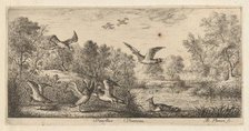 Vanellus, Vanneau (The Lapwing): Livre d'Oyseaux (Book of Birds), 1655-1660. Creator: albert flamen.