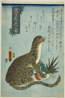 Picture of a Ferocious Tiger Drawn from Life (Shasei moko no zu), 1860. Creator: Utagawa Kunimaro.