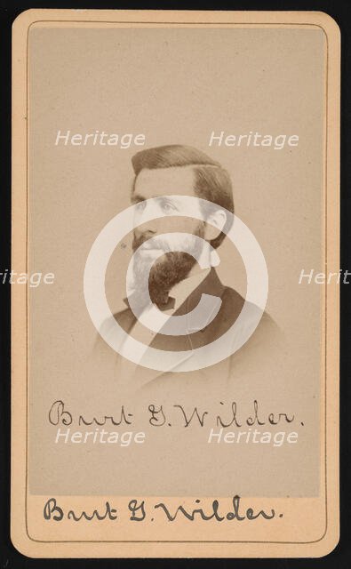 Portrait of Burt Green Wilder (1841-1925), Circa 1870s. Creator: Purdy & Frear.