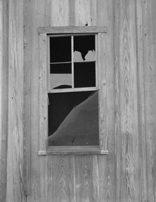 Abandoned shack of a tenant farmer near Roscoe, Texas, 1937. Creator: Dorothea Lange.