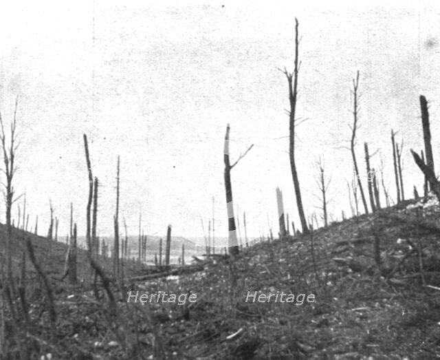 ''Le Champ de Bataille; La debouche du ravin de la Caillette', 1916 (1924) Creator: Unknown.