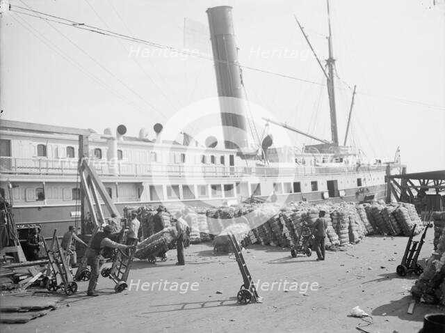 Loading cotton into a steamer, Savannah, Ga., c1904. Creator: Unknown.