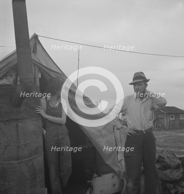 From Wyoming and Missouri eight years...working in lemons..., near Strathmore, CA, 1939. Creator: Dorothea Lange.