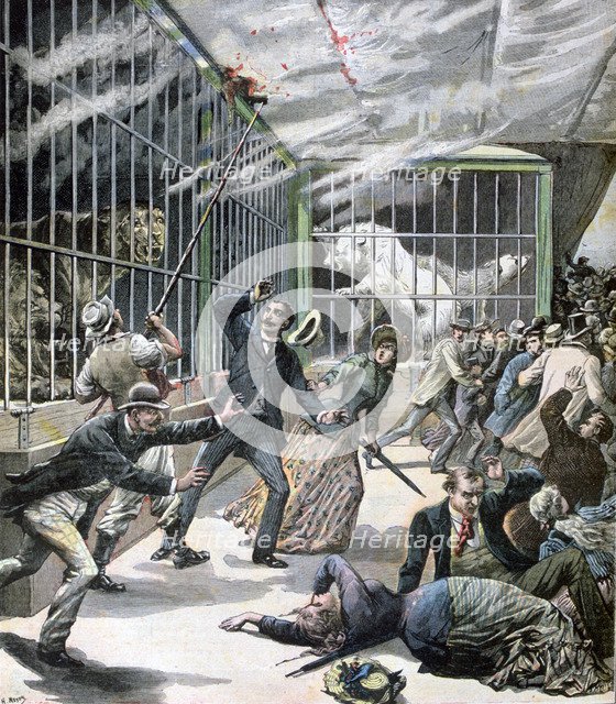 The incident at the menagerie, Montceau-les-Mines, France, 1891. Artist: Henri Meyer