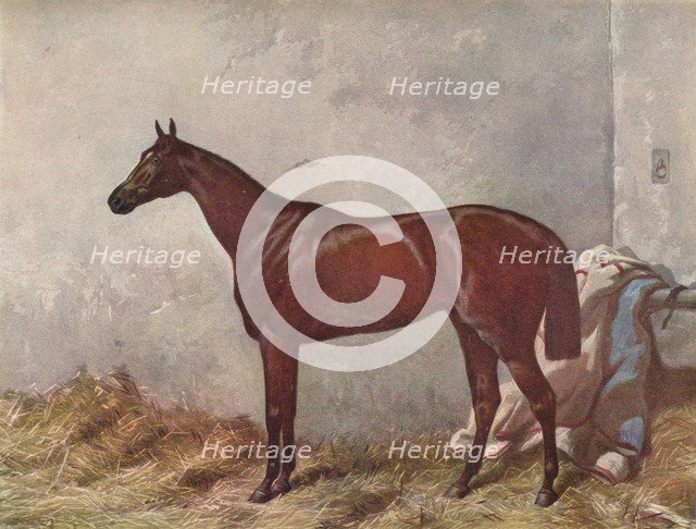 Hermit: winner of the Derby Stakes at Epsom, 1867, (1903). Artist: William Summers