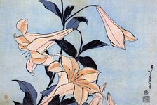 Lilies, c1830.  Creator: Hokusai, Katsushika (1760-1849).