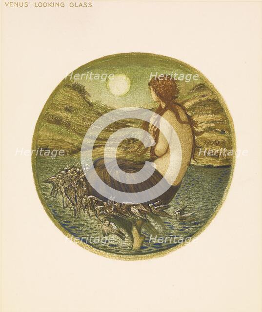 The Flower Book- Venus' Looking Glass, 1905. Creator: Sir Edward Coley Burne-Jones.